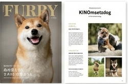 雑誌品質のペット写真レイアウト