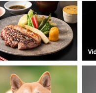 肉料理の撮影実績